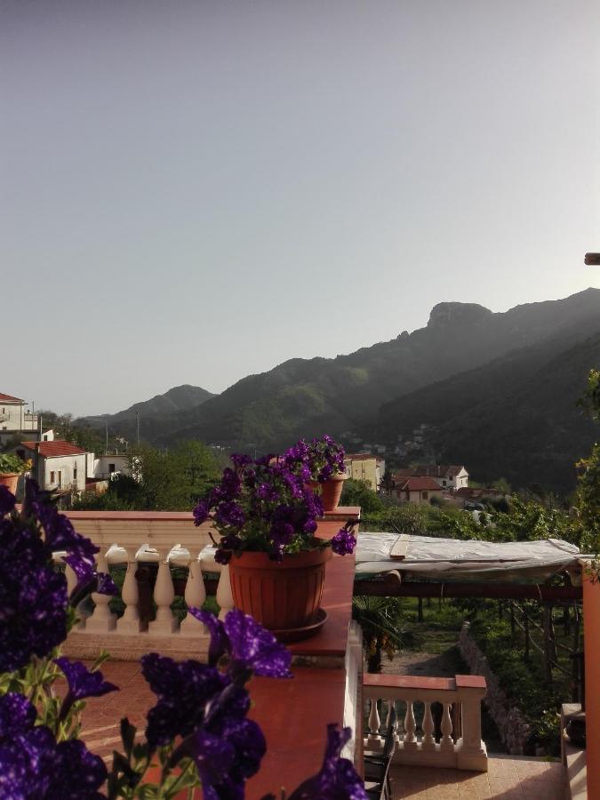 트라몬티 Antica Casa Cavaliere 빌라 외부 사진